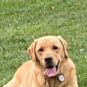 Meet your Posher, Maya